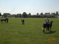 kb077.jpg